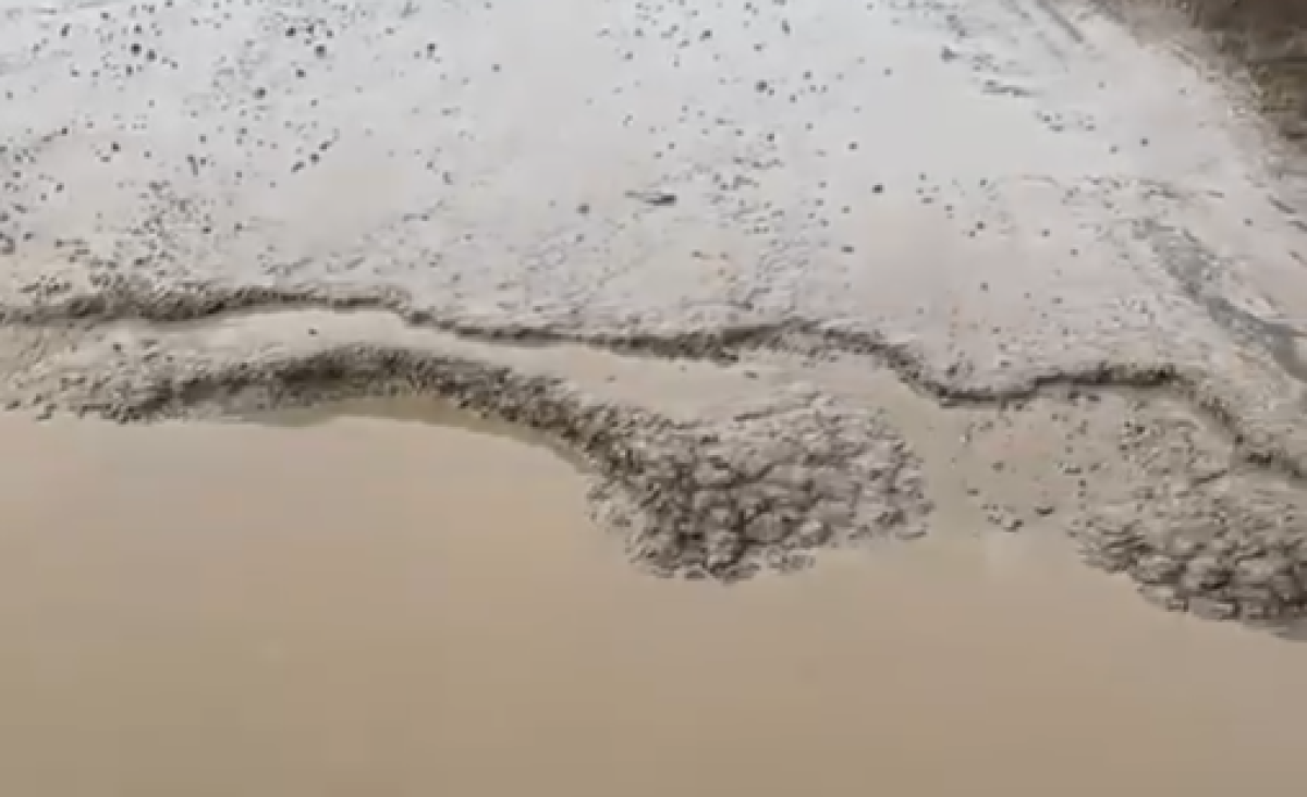 Фото: видеодан скрин