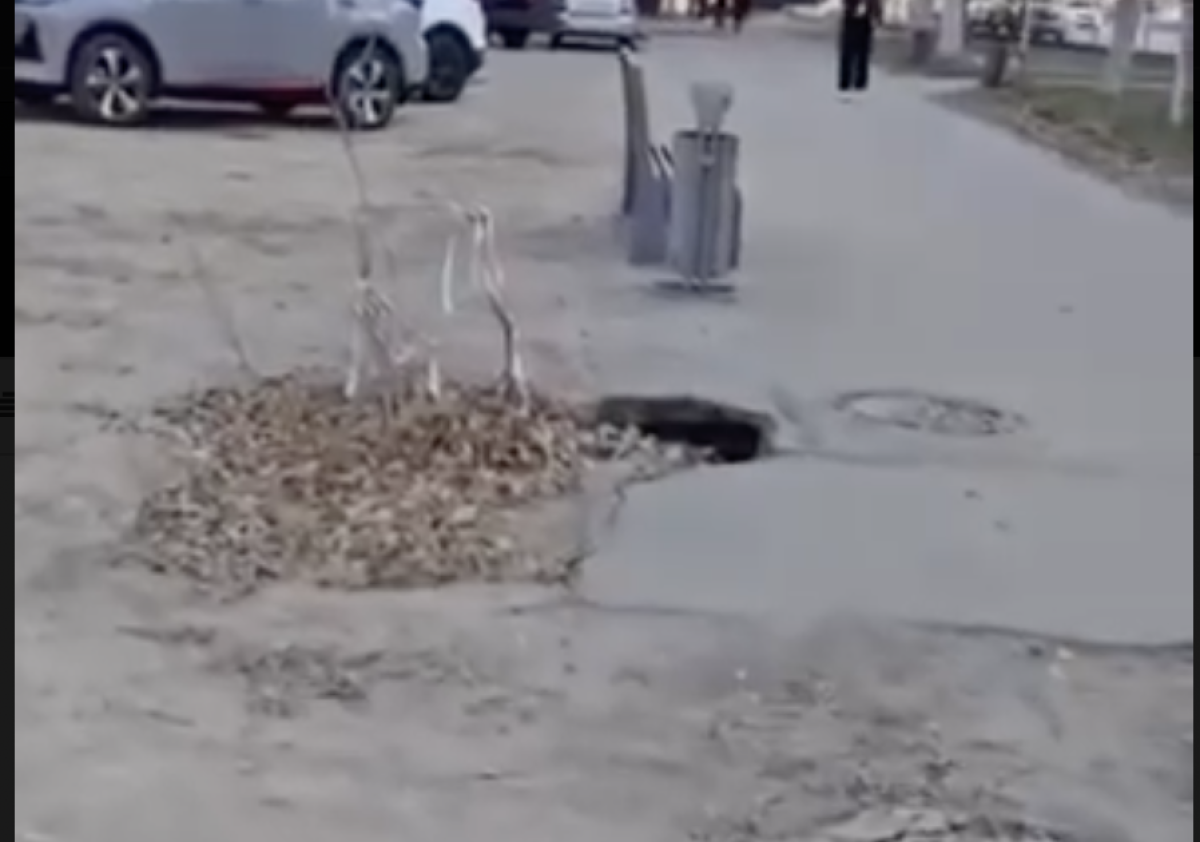 Фото: видео скриншот