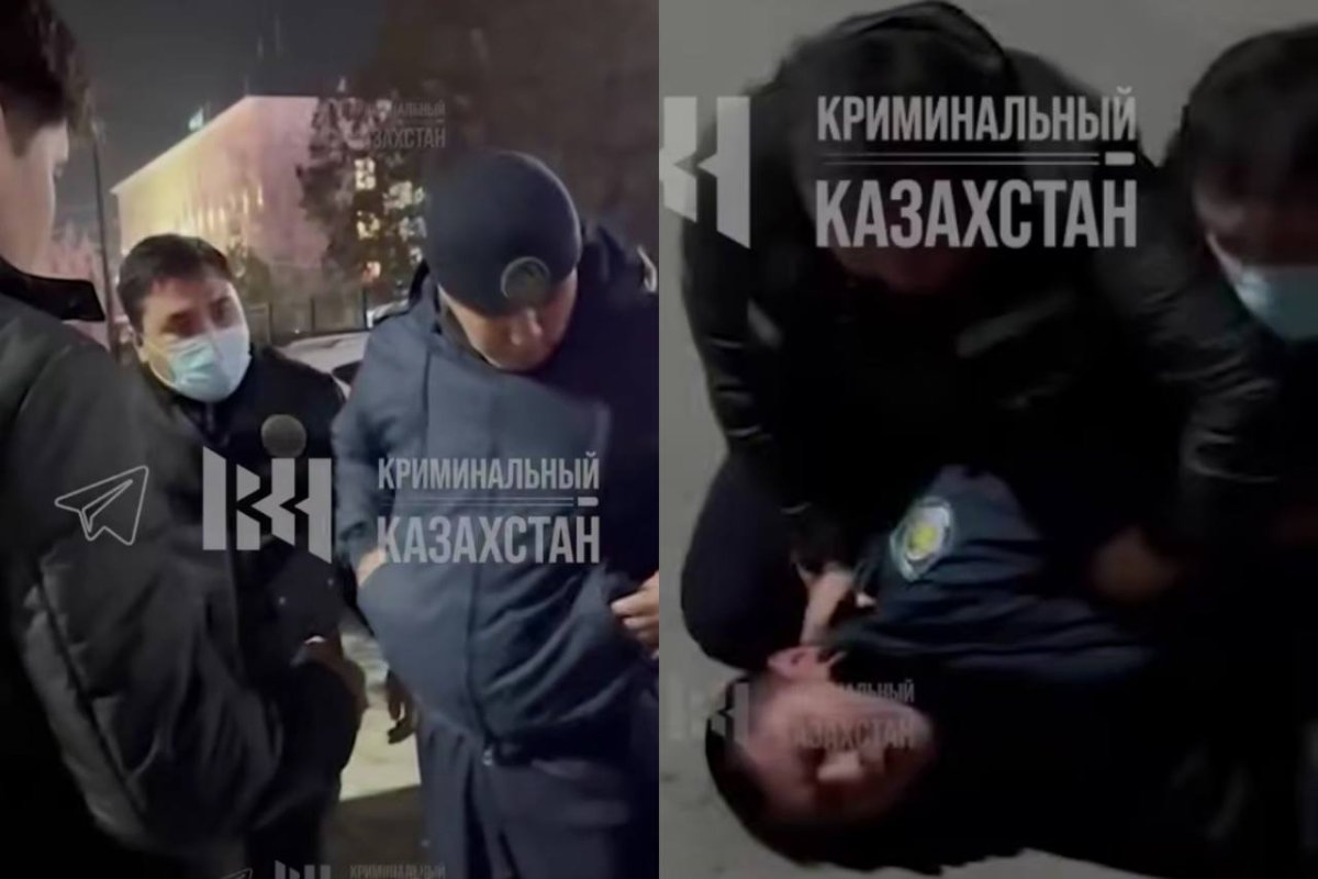 Фото: видеодан скриншот