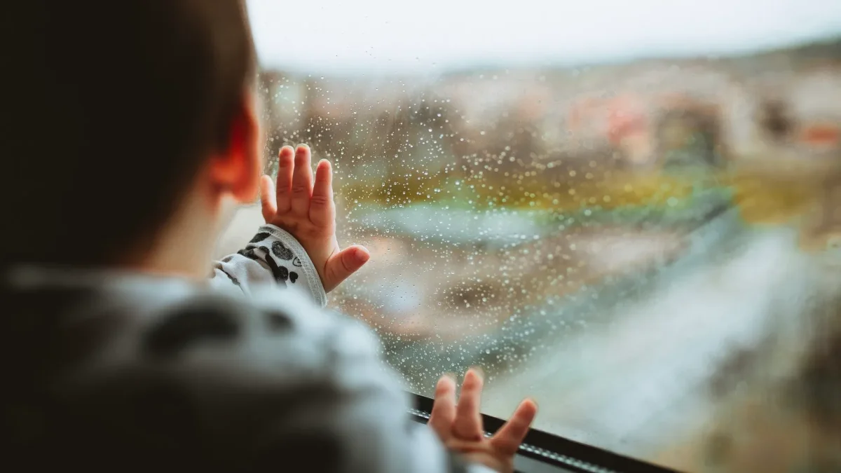 Фото: pexels.com