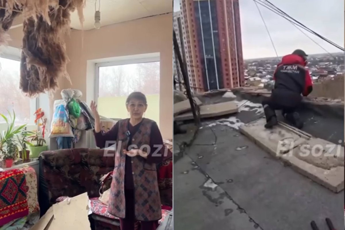 Фото: видеодан скрин