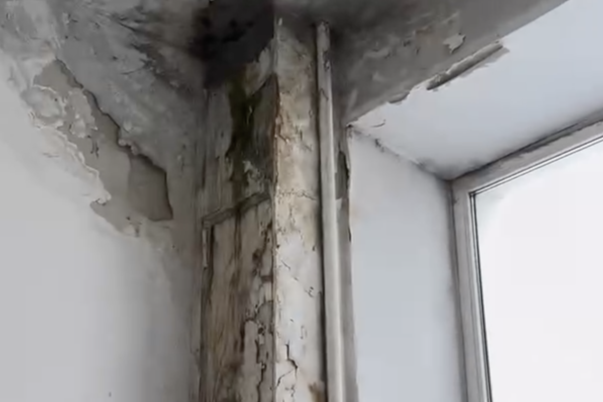 Фото: видео скриншот