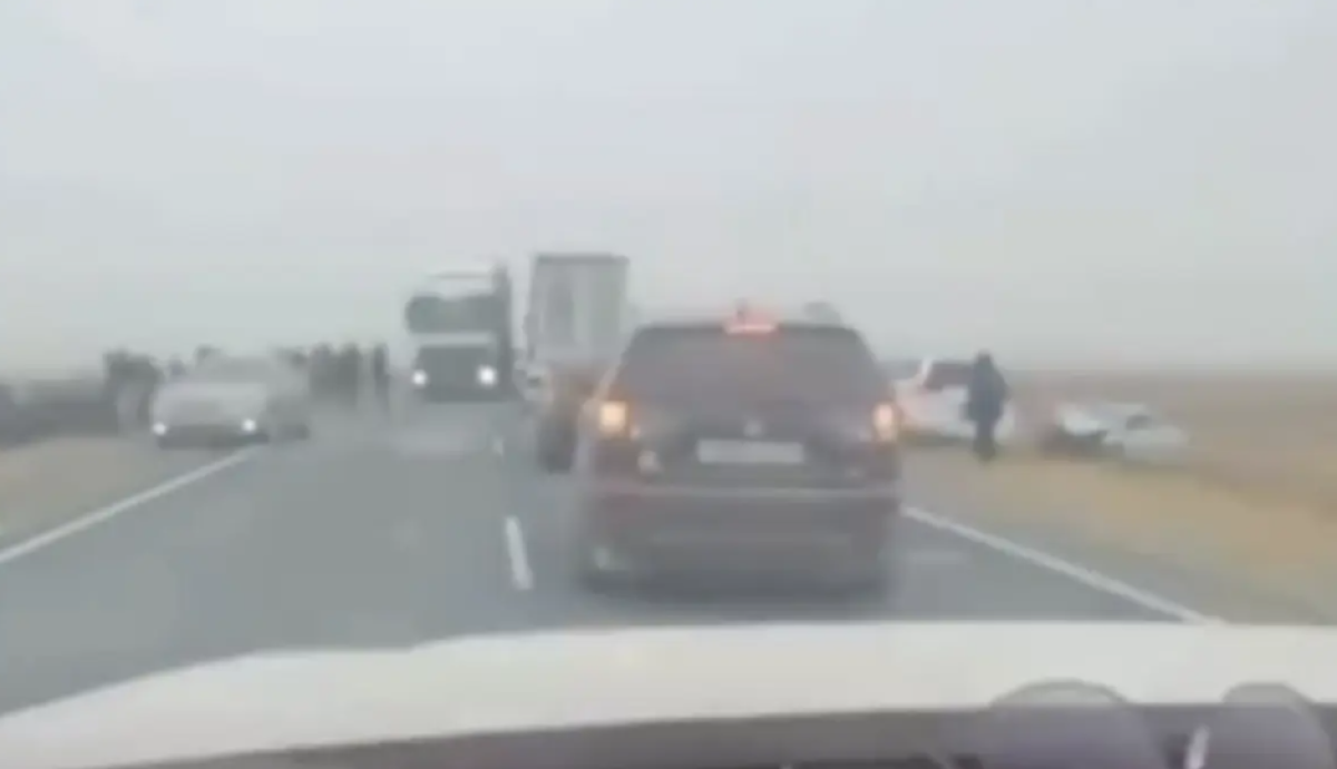 Фото: видеодан скрин