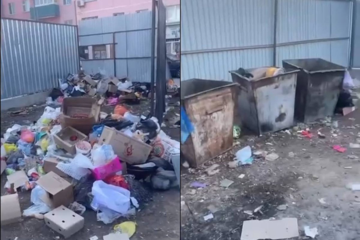 Фото: видеодан скриншот