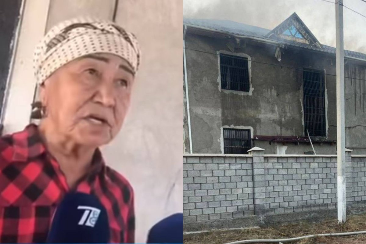 Фото: видеодан скриншот