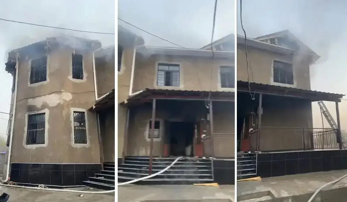 Фото: видео скриншот