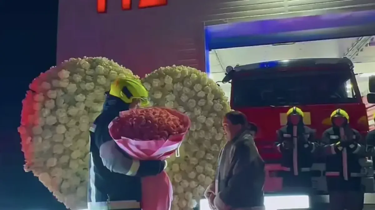 Фото: видеодан скрин