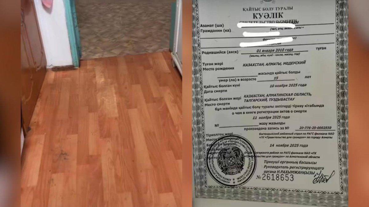 Фото: видеодан скрин