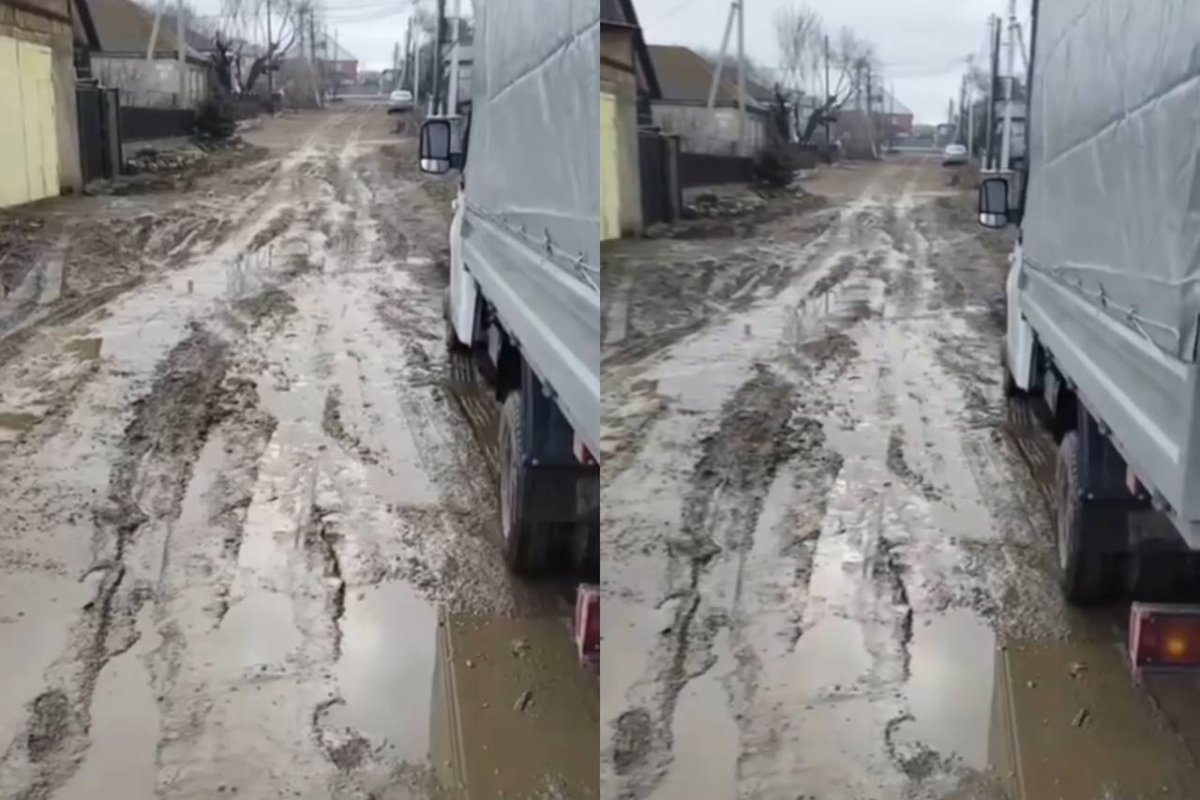 Фото: видеодан скриншот