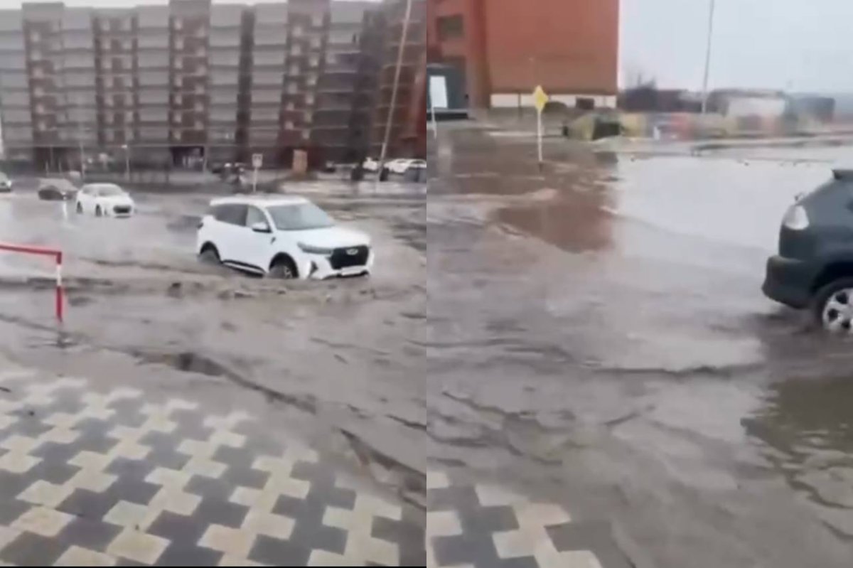 Фото: видеодан скриншот