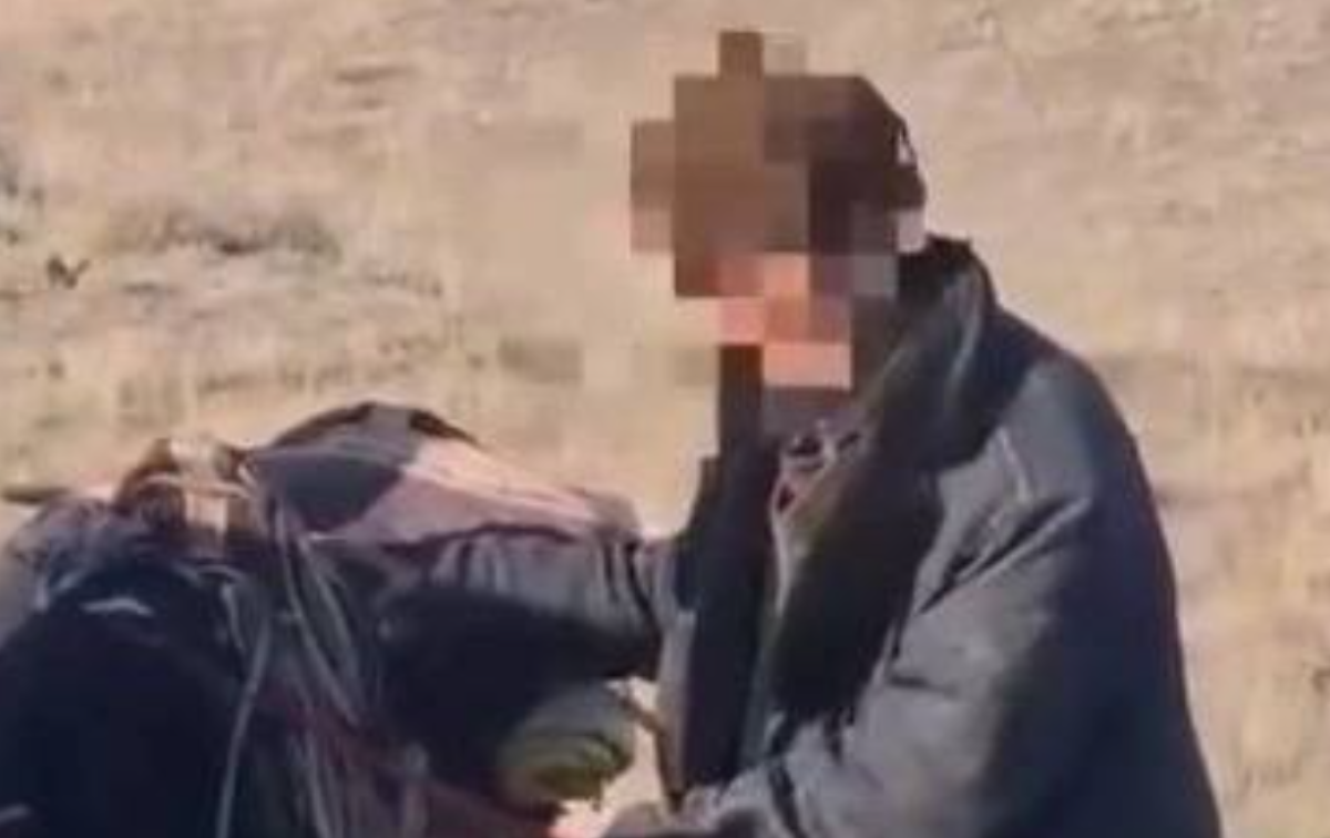 Фото: видеодан скрин