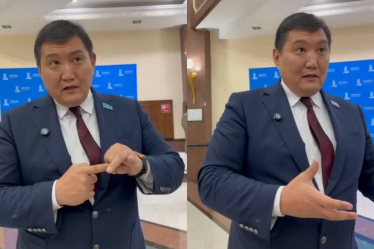 Фото: видеодан скриншот