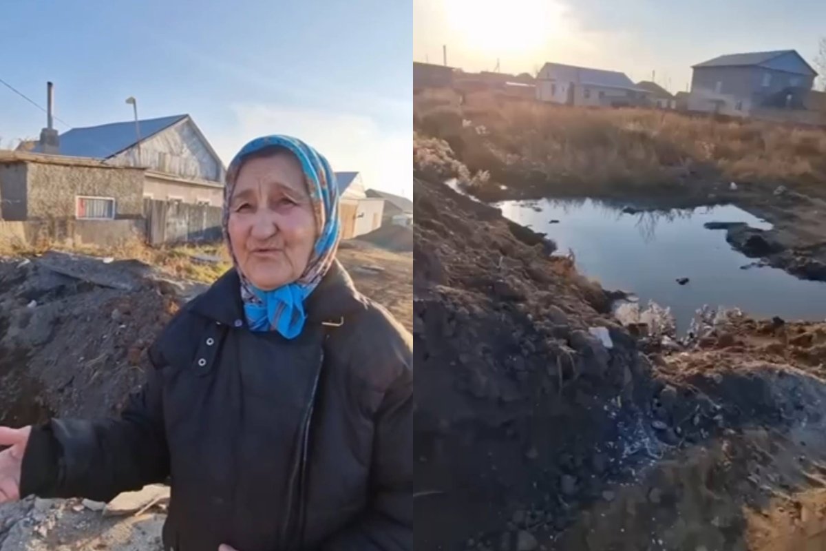 Фото: видеодан скрин