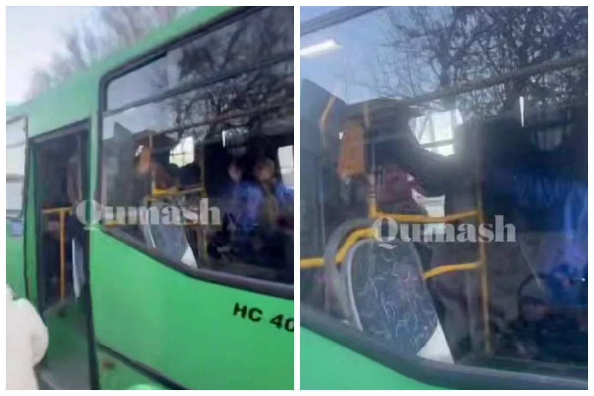 Фото: видеодан скриншот