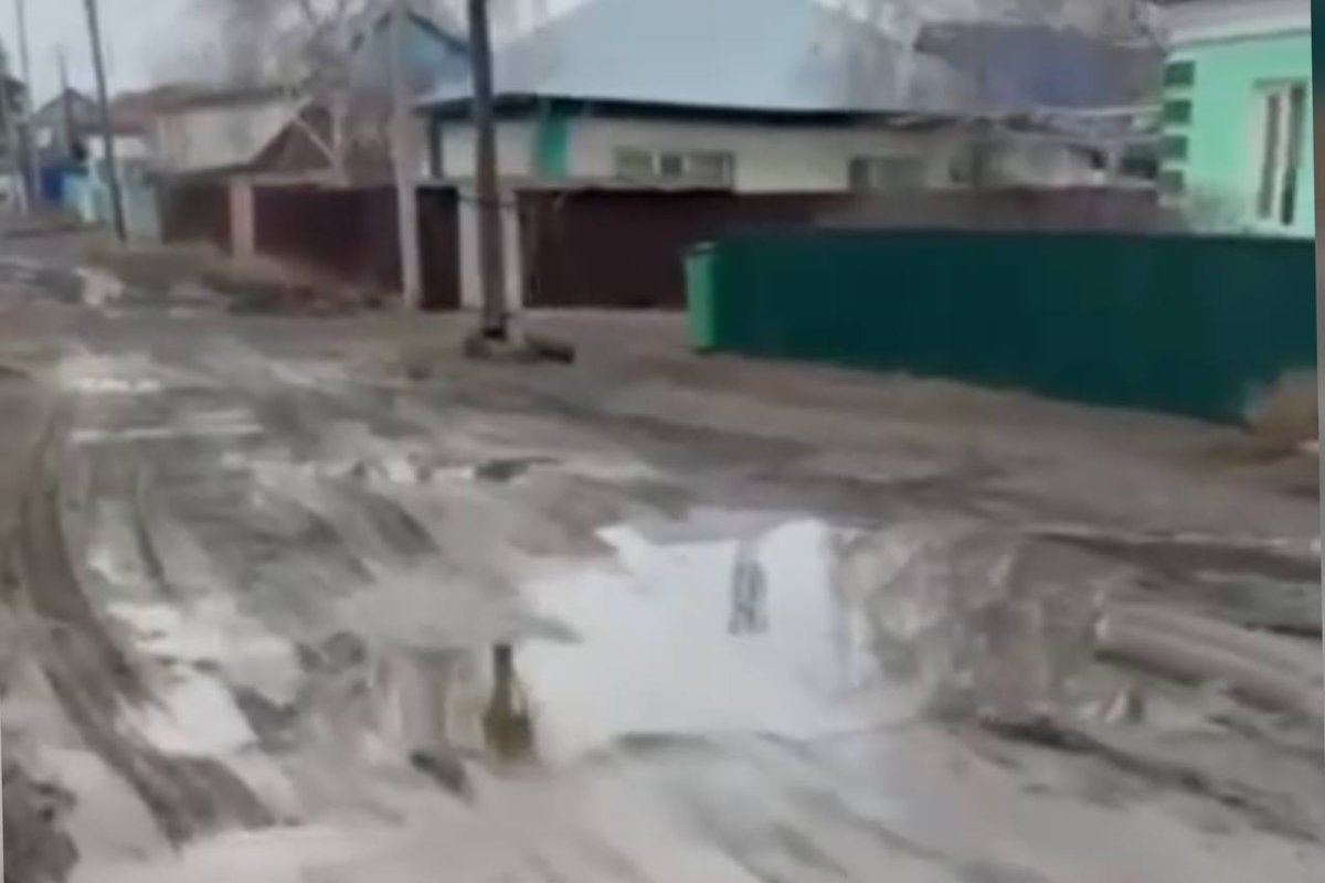 Фото: видеодан скриншот