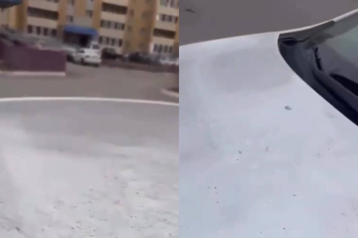 Фото: видеодан скрин