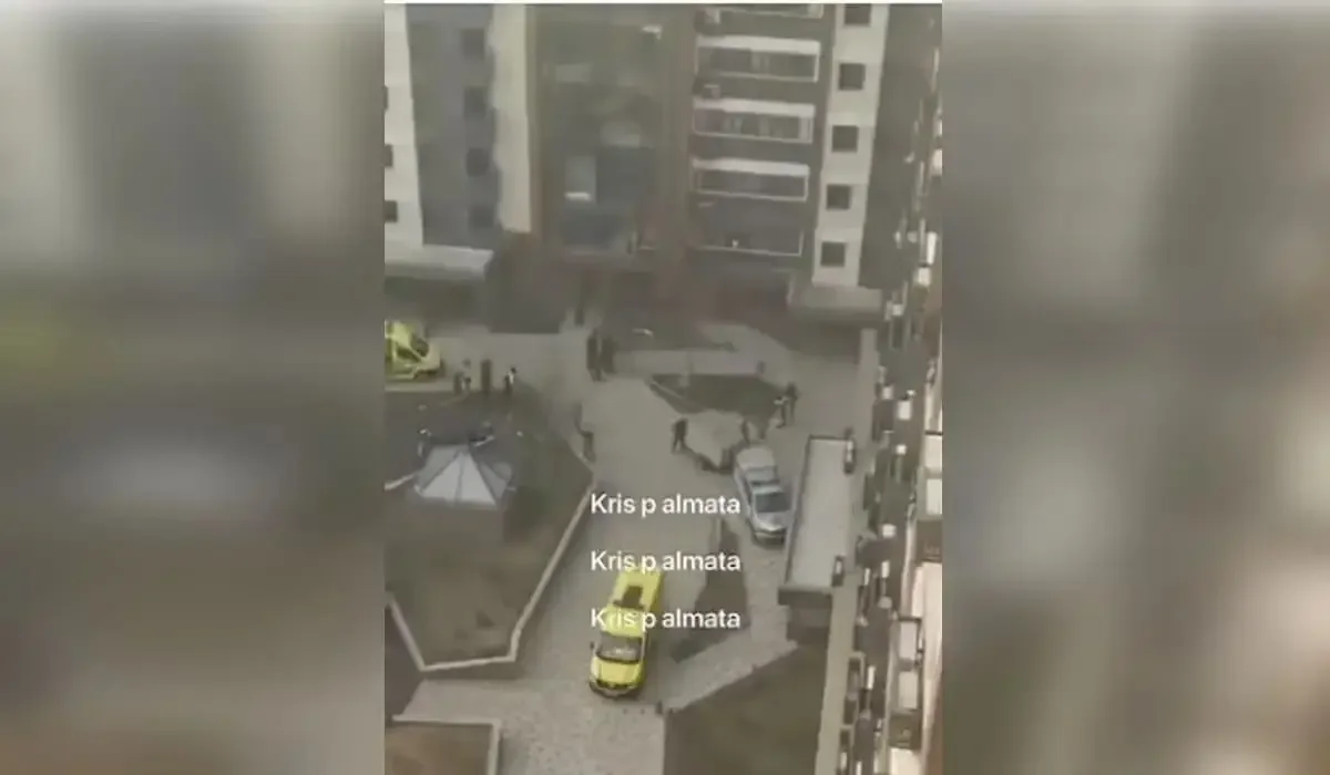 Фото: видеодан скриншот