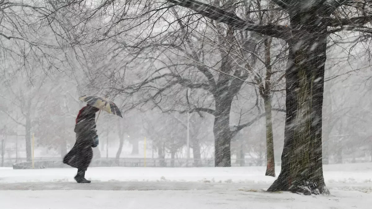фото: Gillian Henry/Getty Images