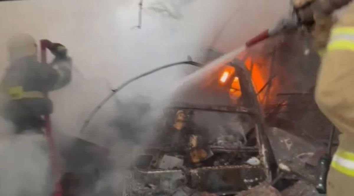 Фото: видеодан скрин