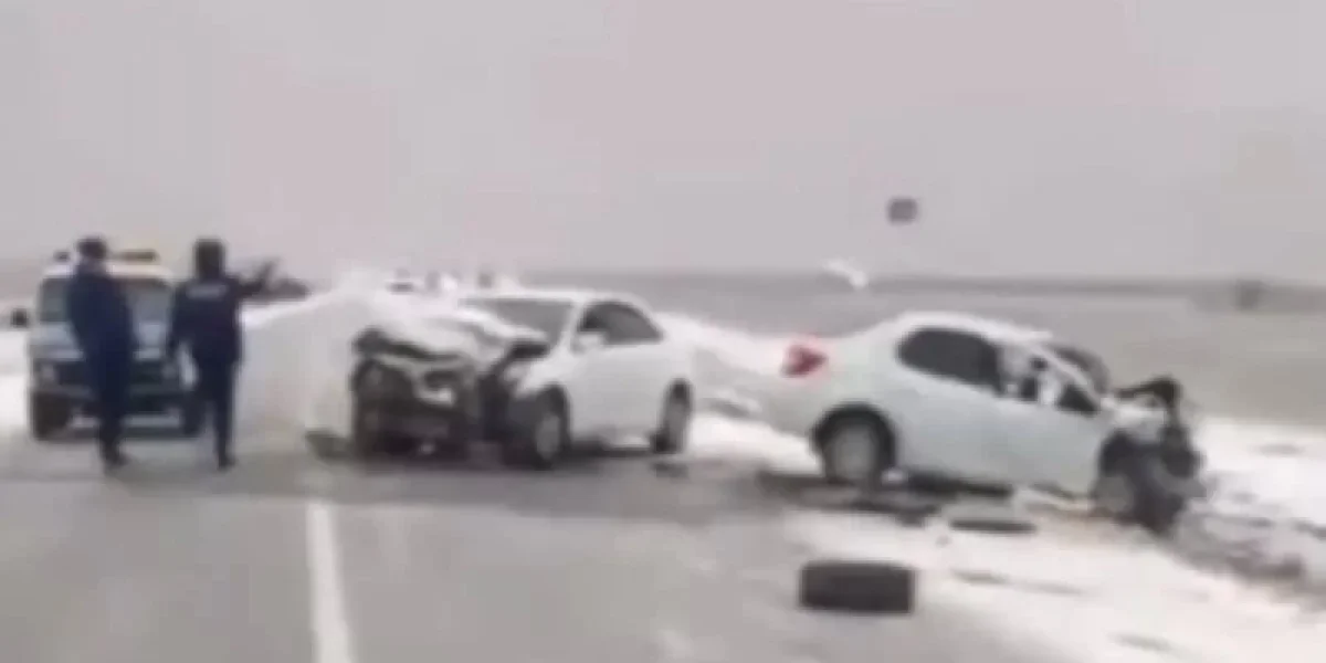 Фото: видео скриншот