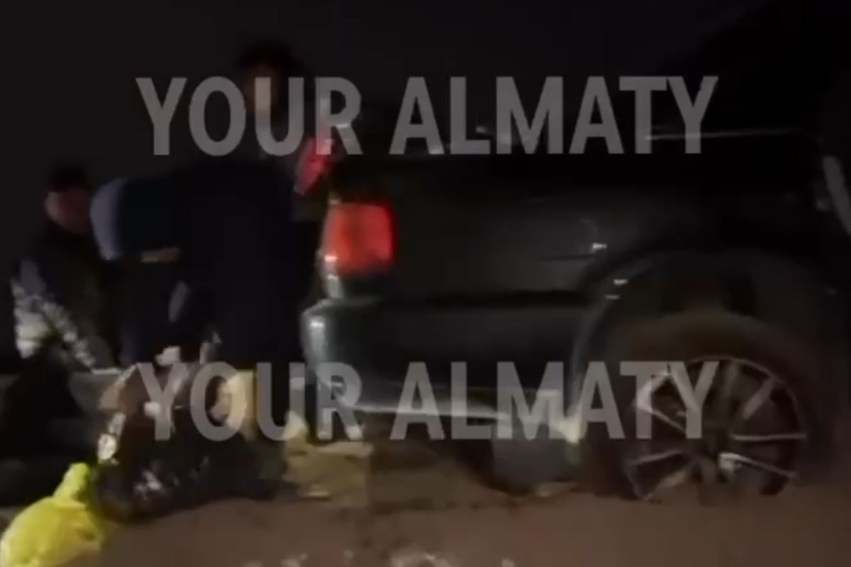 Фото: Видеодан скрин