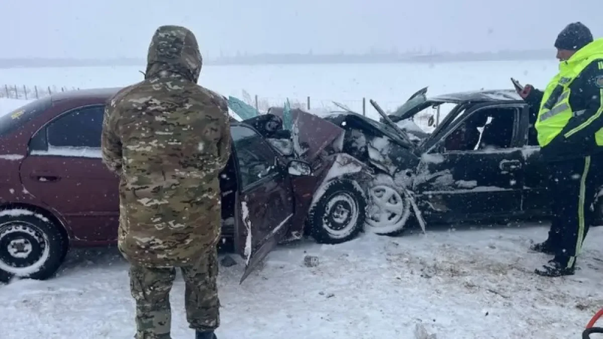 Фото: instagram/taldykorganec.insta_