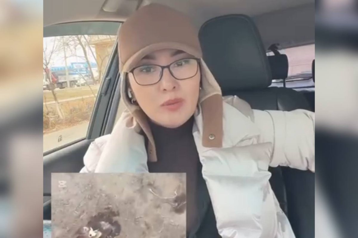 Фото: видеодан скриншот