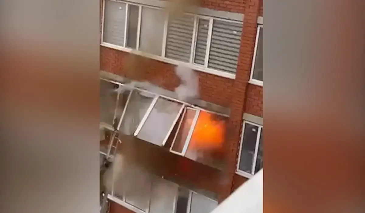 Фото: Видеодан скрин