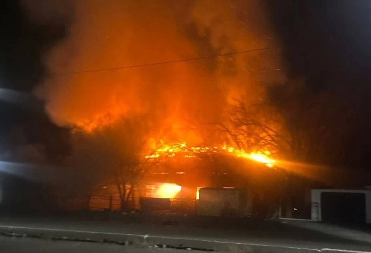 Фото: Іnstagram.com/newskor.krg