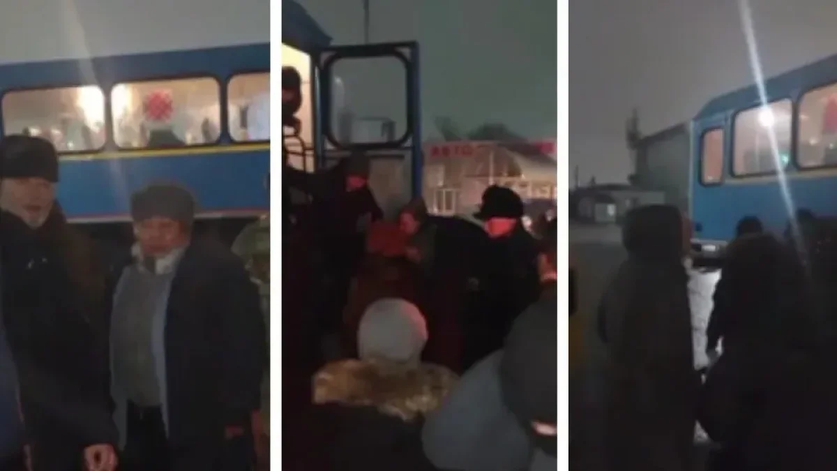 Фото: видеодан скрин