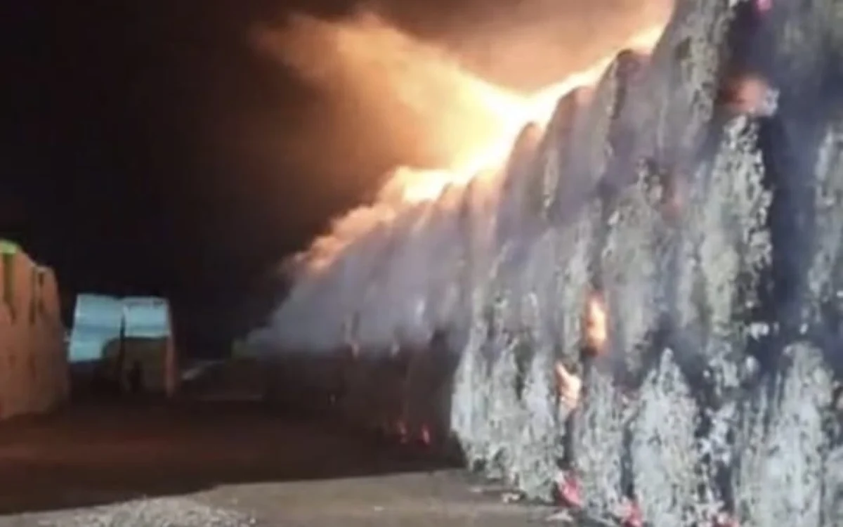 Фото: видео скриншот