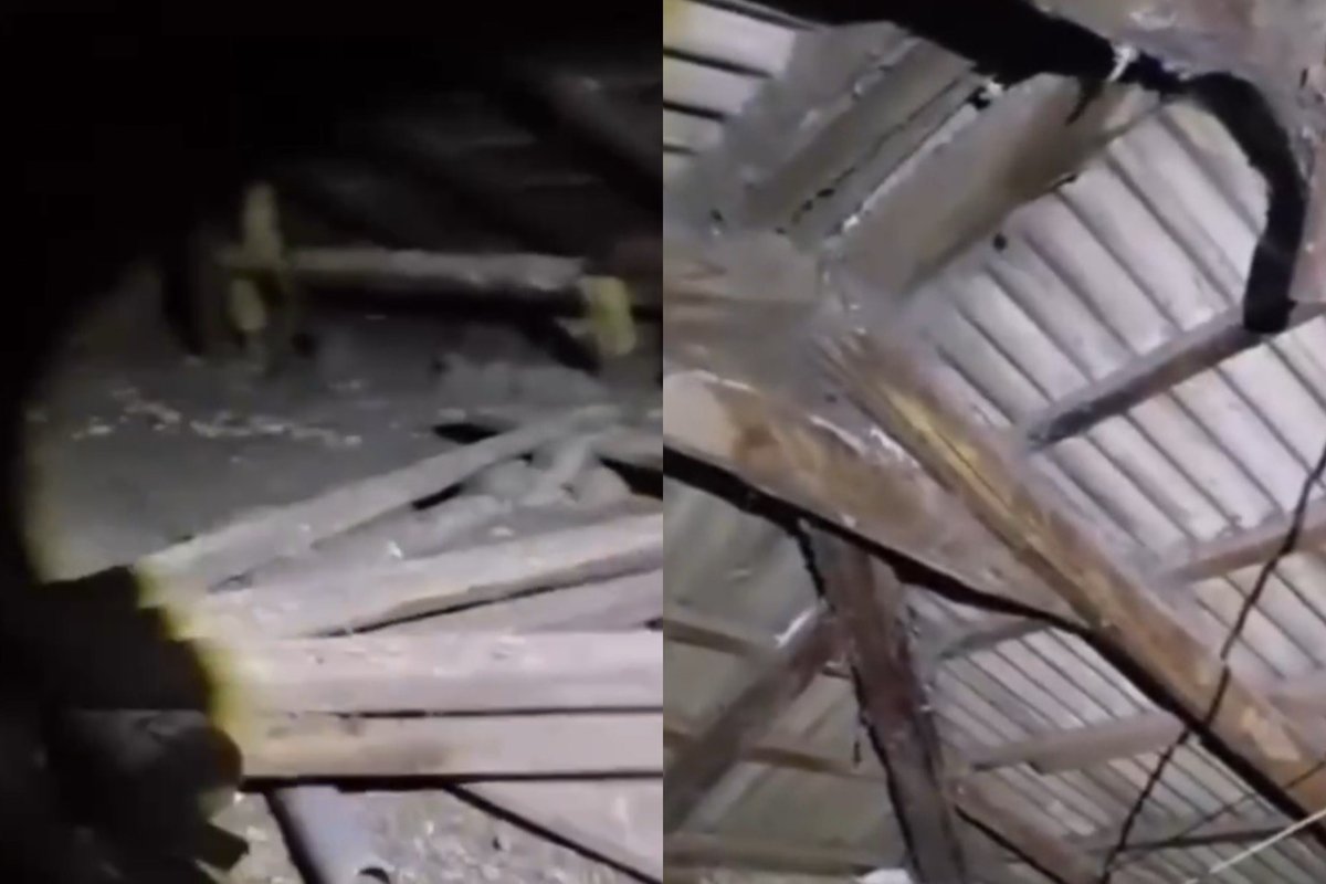 Фото: видеодан скрин