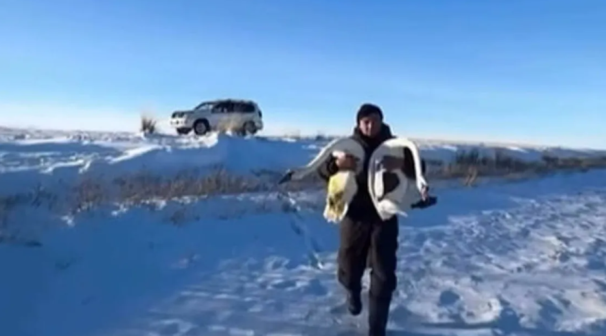 Фото: видеодан скрин