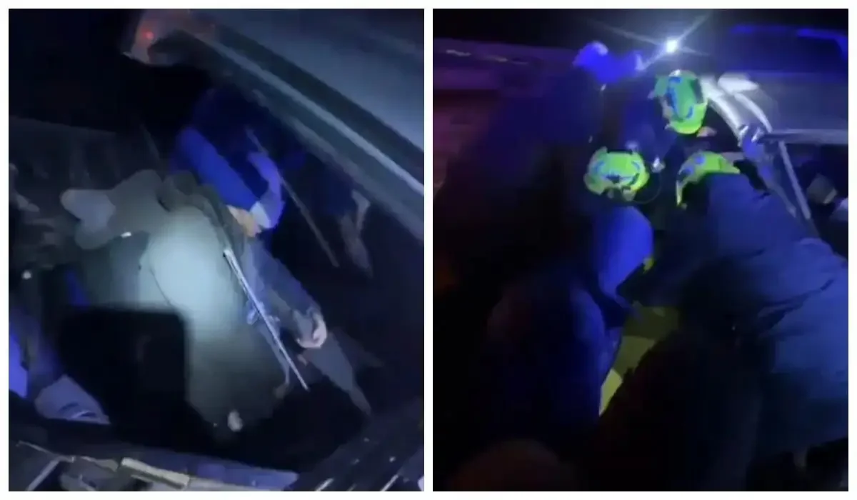 Фото: видеодан скриншот