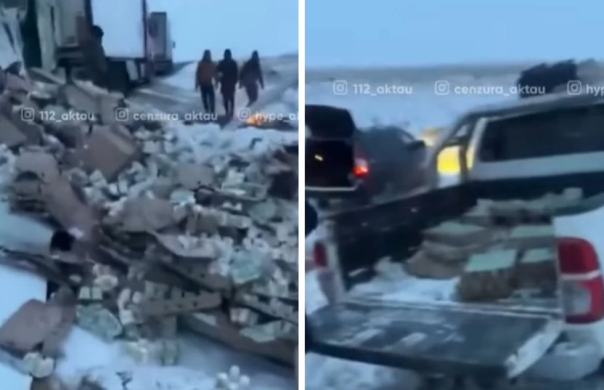 Фото: видеодан скрин