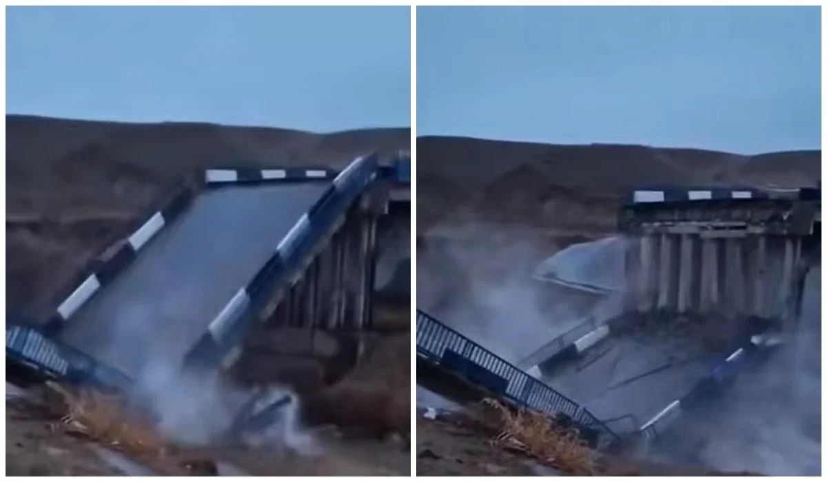 Фото: видеодан скриншот