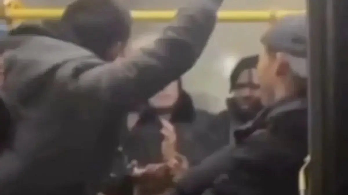 Фото: видеодан скриншот