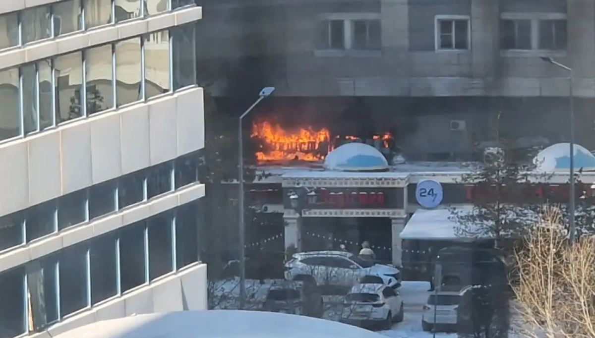 Фото: видеодан скрин