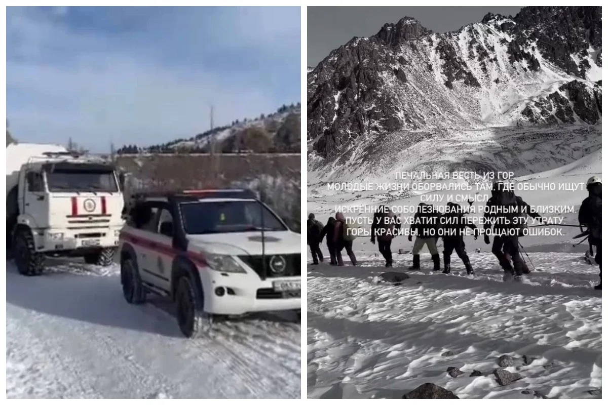 Фото: видео скриншот