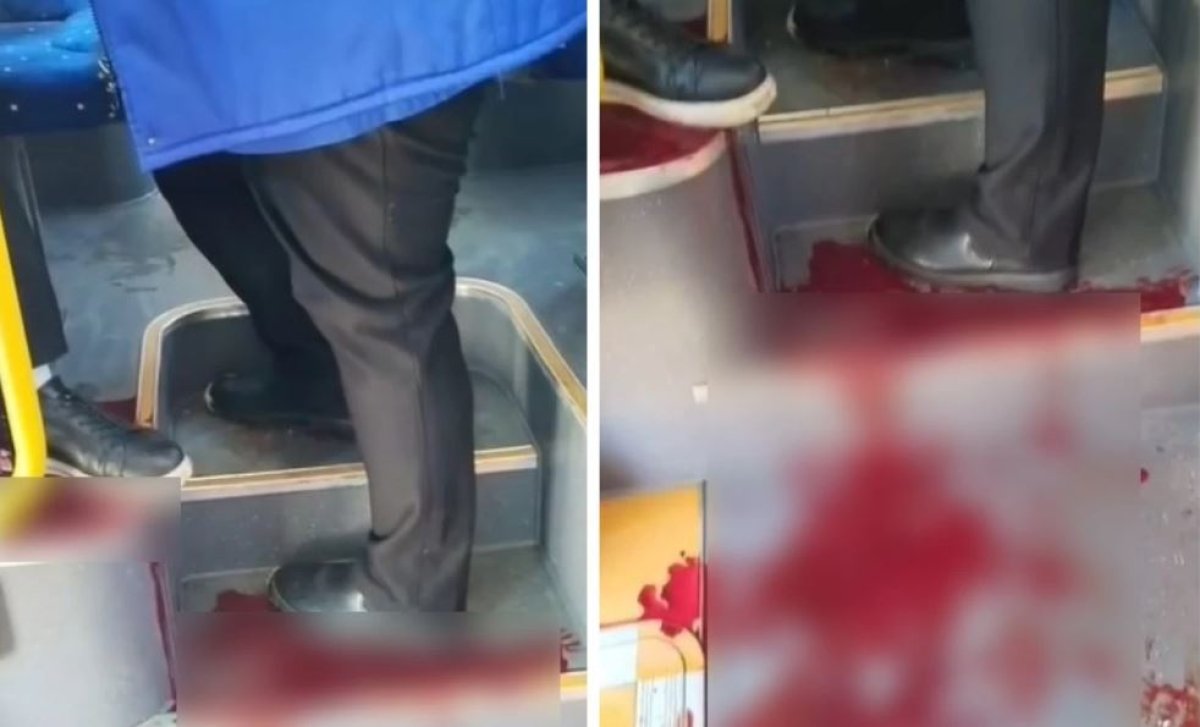 Фото: видеодан скрин