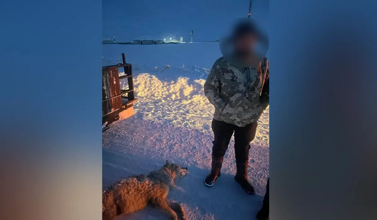 Фото: Абай облысының ПД