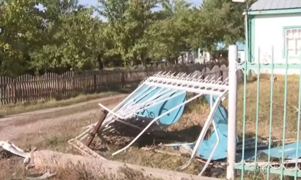 Фото: видео скриншот