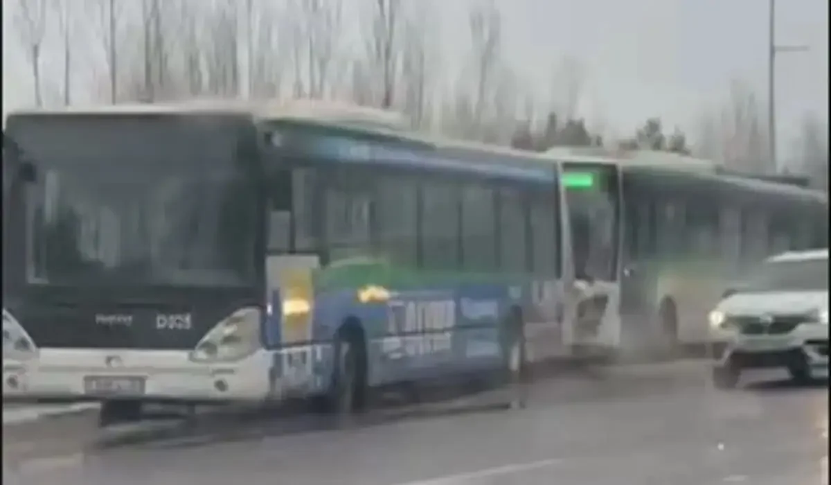 Фото: видеодан скриншот