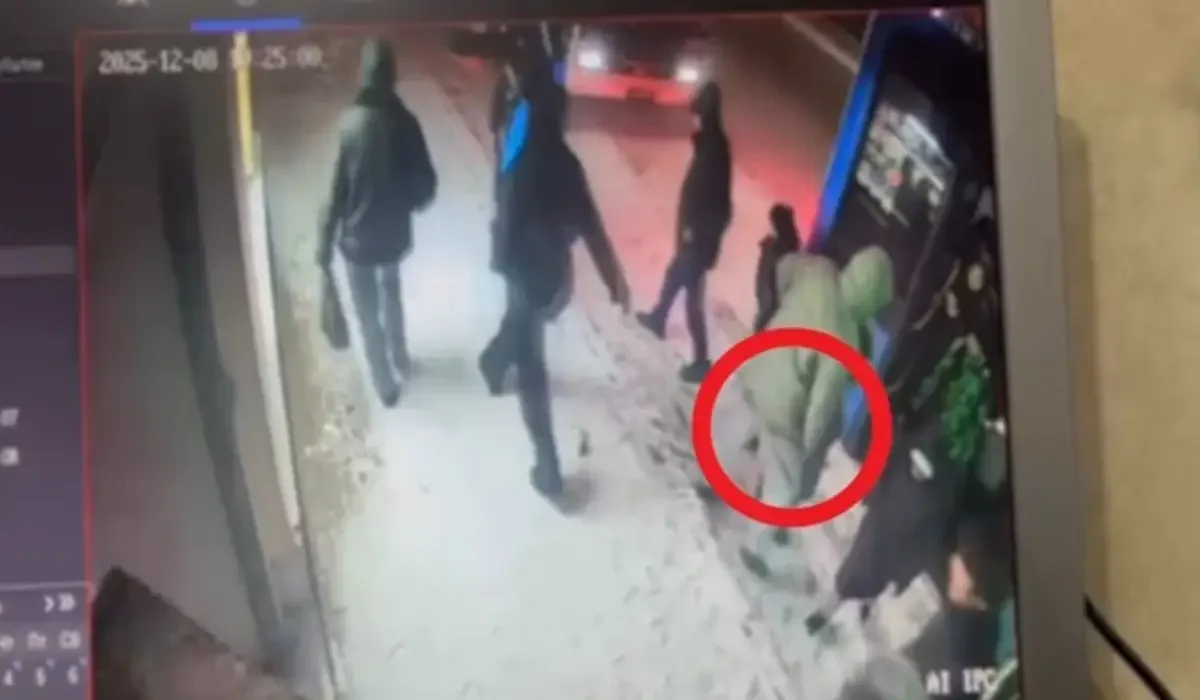 Фото: видеодан скриншот