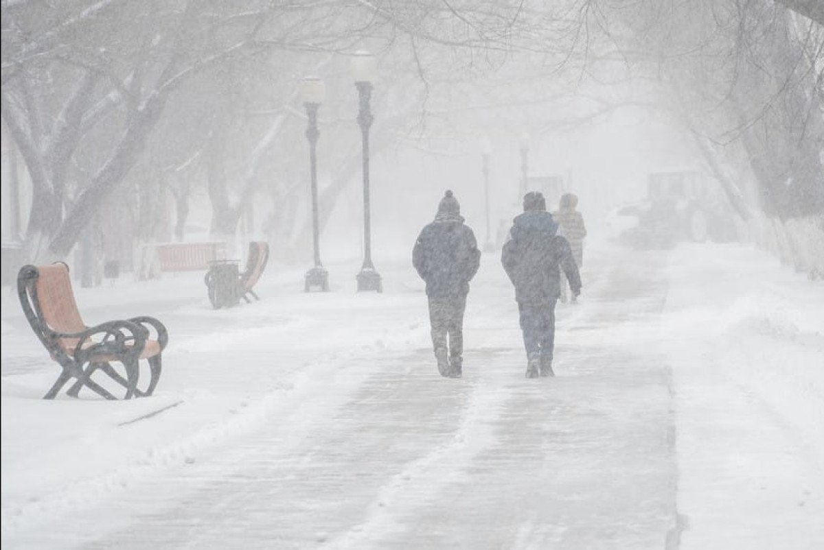 Фото: shutterstock