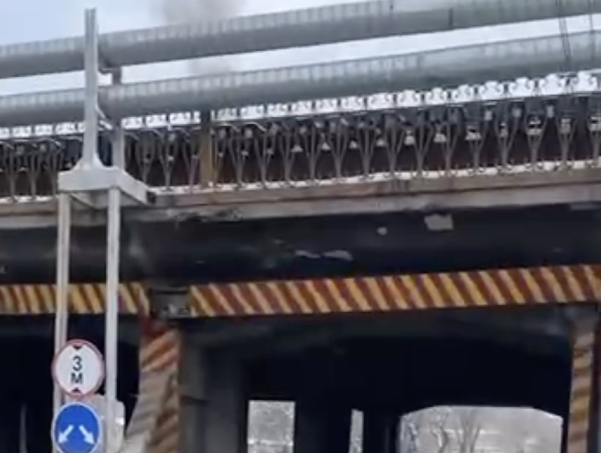 Фото: видео скриншот