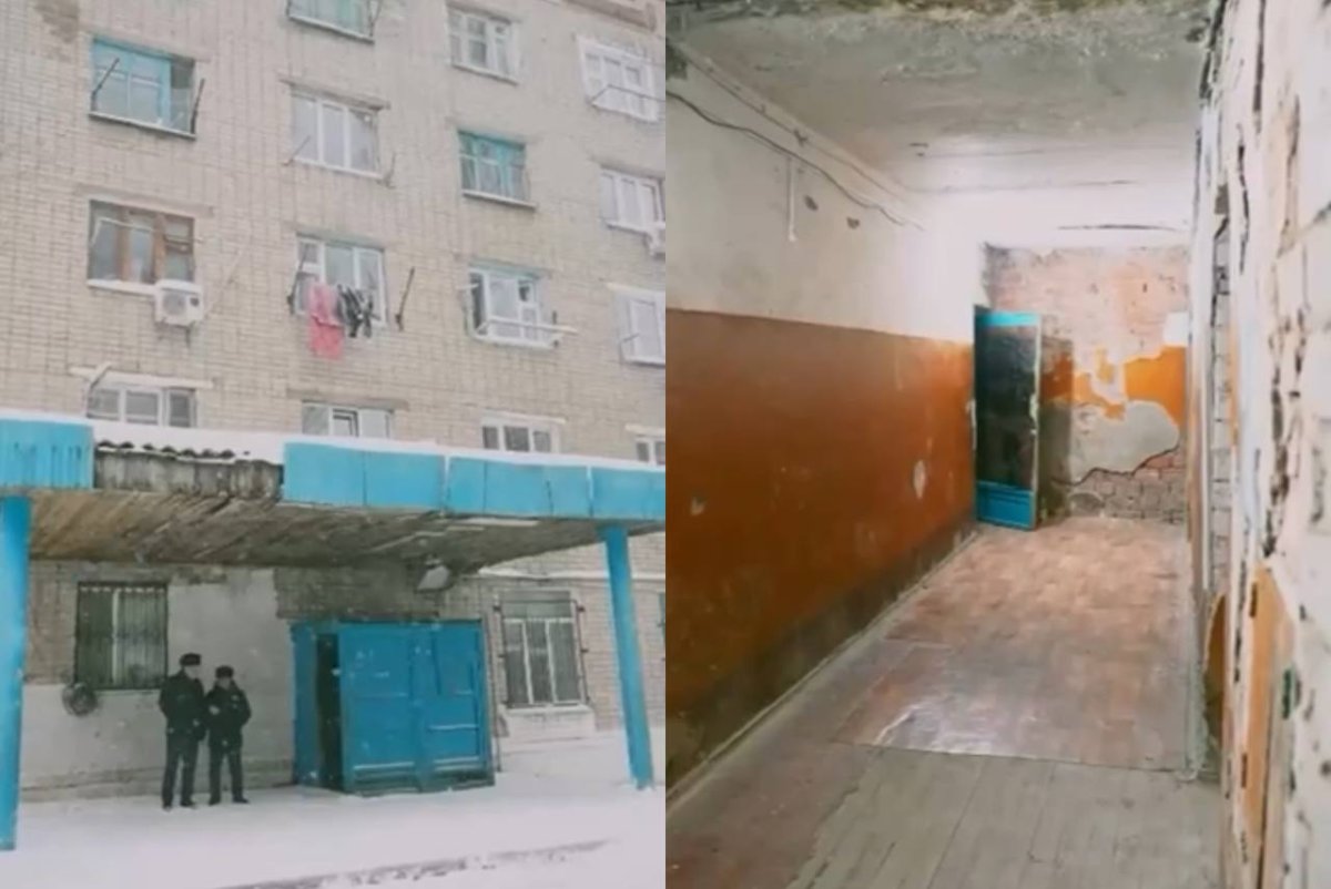 Фото: видеодан скриншот