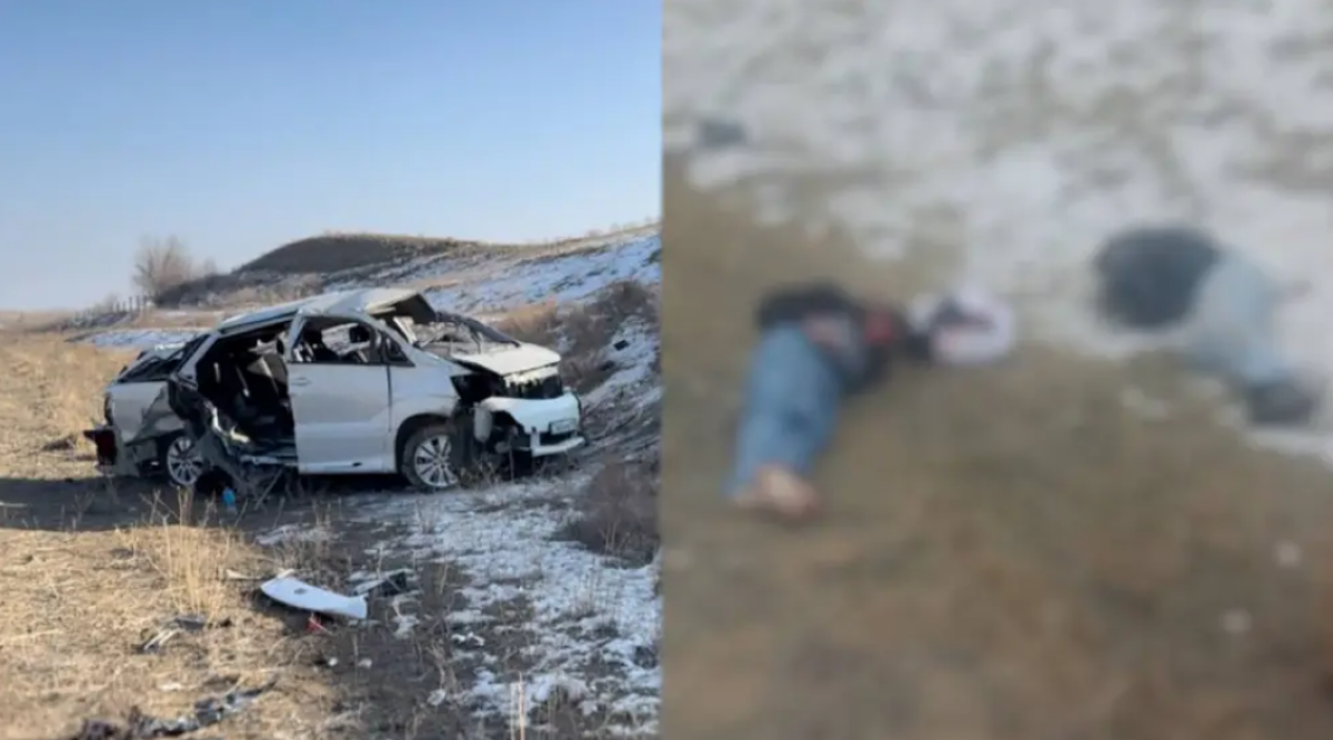 Фото: видеодан скрин