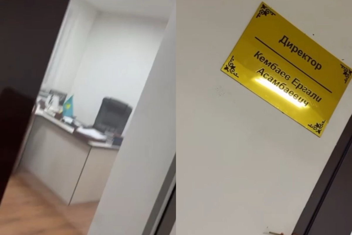 Фото: видеодан скрин