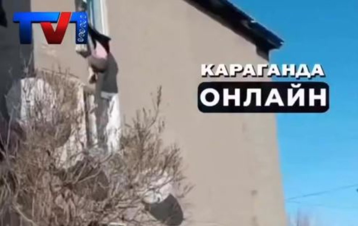 Фото: видеодан скрин